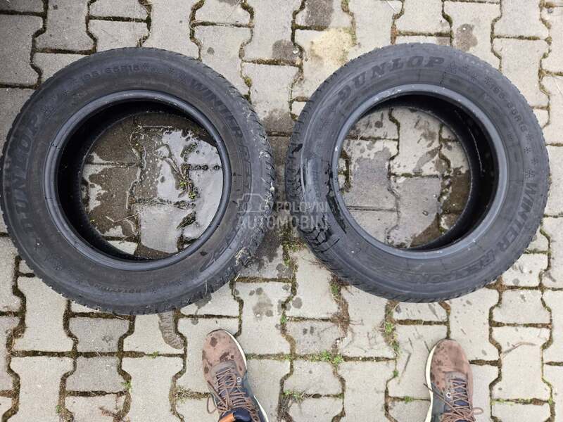 Dunlop 195/65 R15 Sve sezone