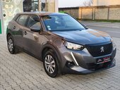 Peugeot 2008 1.5 BlueHDI Business