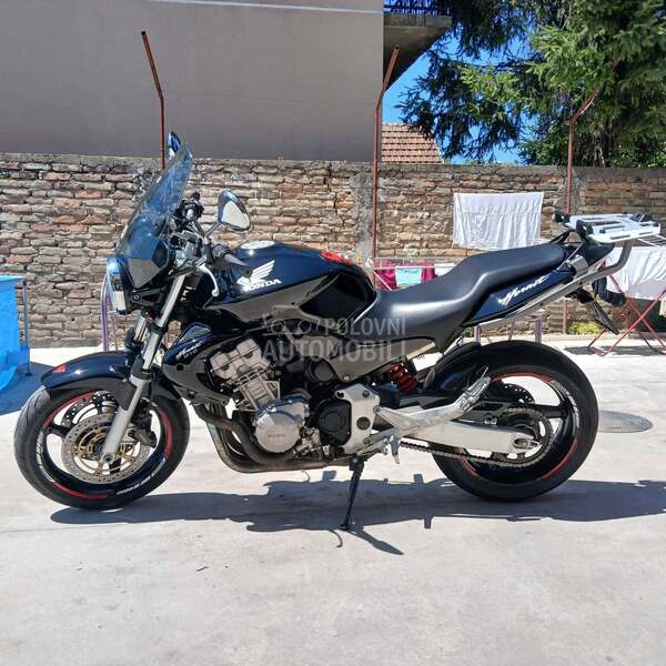 Honda hornet