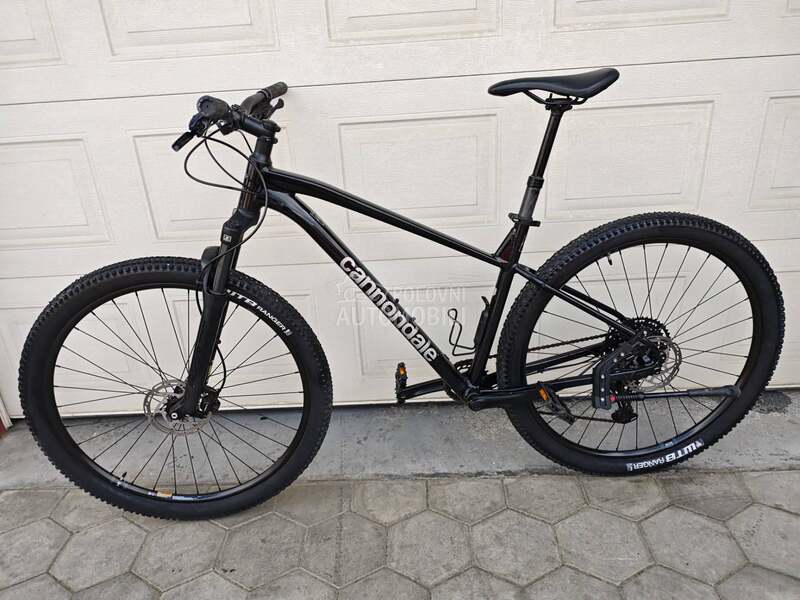 Cannondale Trail 29
