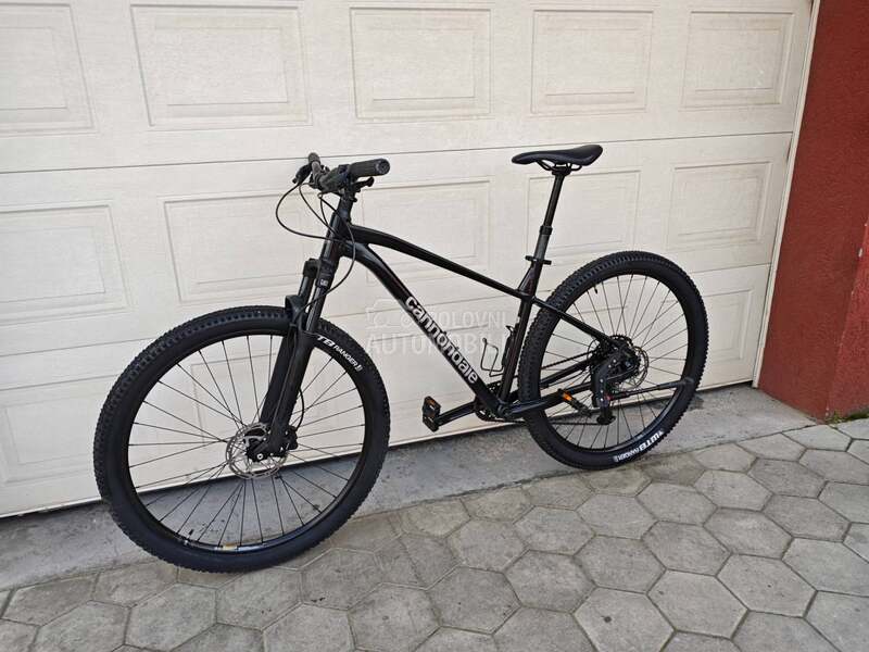 Cannondale Trail 29