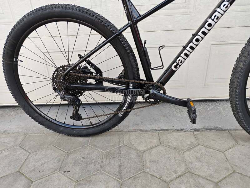 Cannondale Trail 29