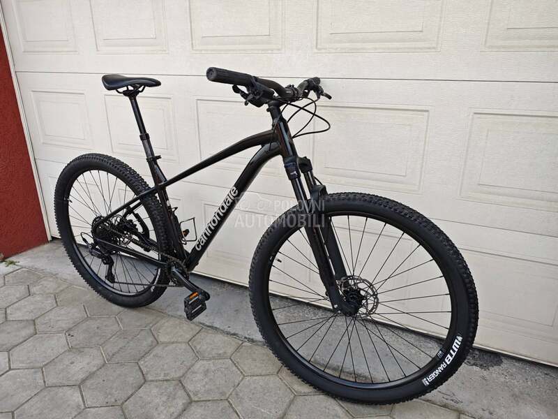 Cannondale Trail 29