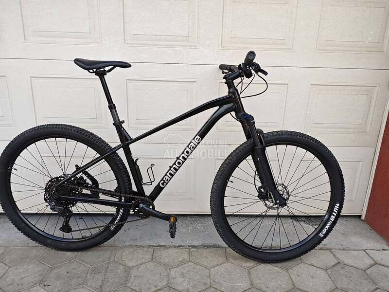 Cannondale Trail 29
