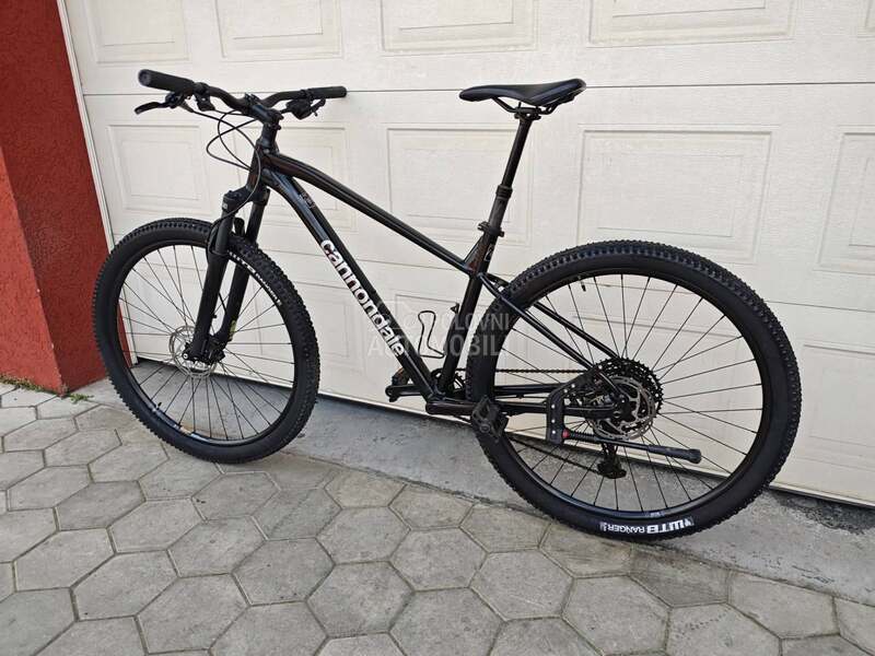 Cannondale Trail 29