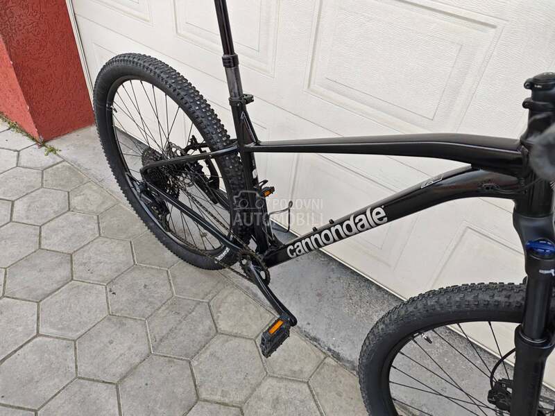 Cannondale Trail 29