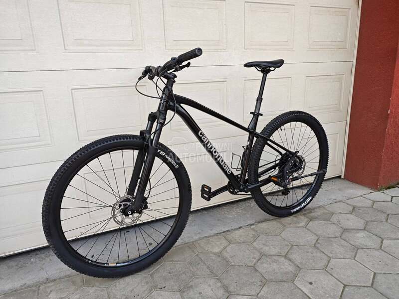 Cannondale Trail 29