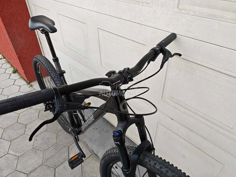 Cannondale Trail 29