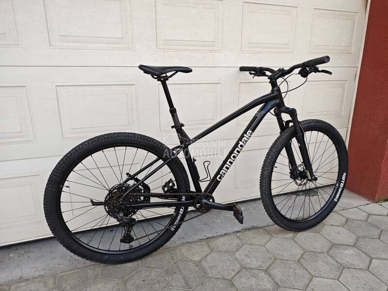 Cannondale Trail 29