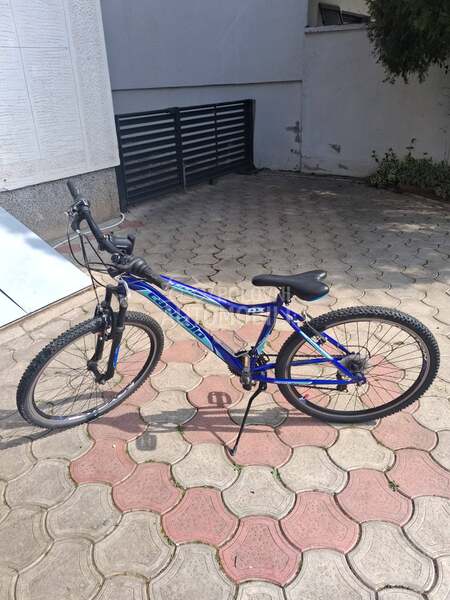 Capriolo Diavolo 600