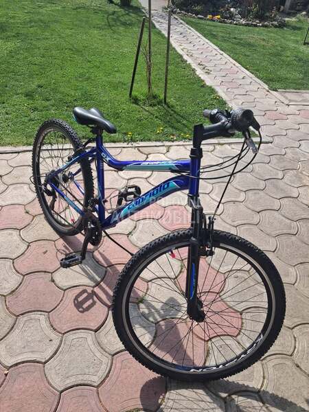 Capriolo Diavolo 600