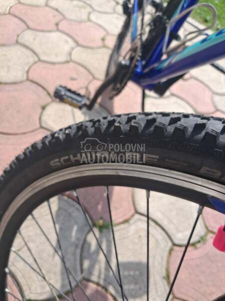 Capriolo Diavolo 600