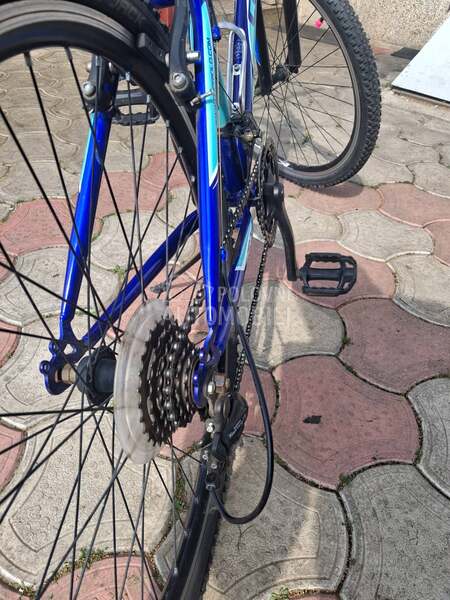 Capriolo Diavolo 600