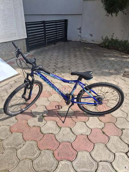 Capriolo Diavolo 600