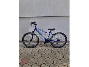 Capriolo Diavolo 600