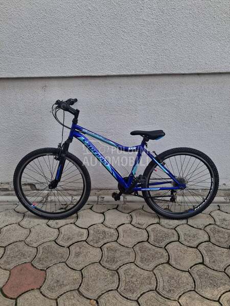 Capriolo Diavolo 600