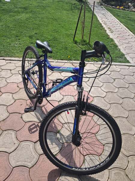 Capriolo Diavolo 600