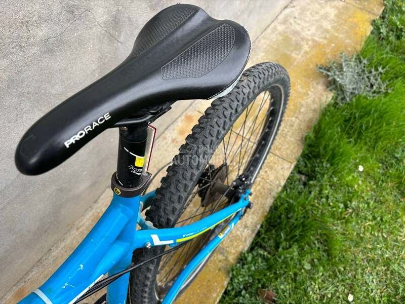 Bergamont Revox 3x10