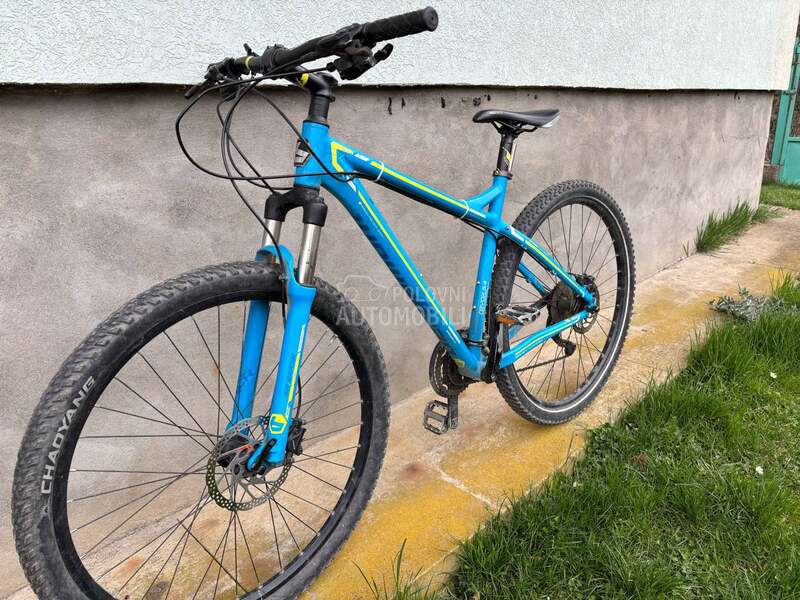 Bergamont Revox 3x10