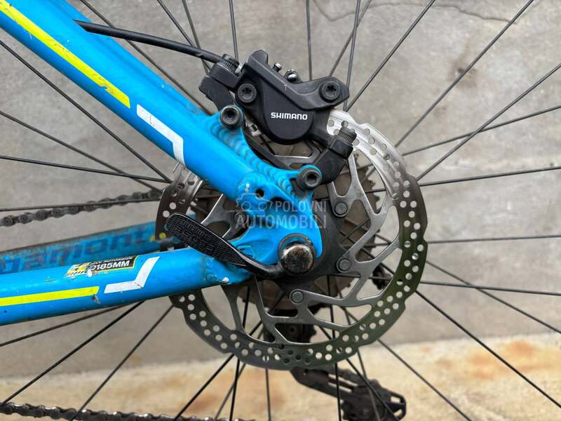 Bergamont Revox 3x10