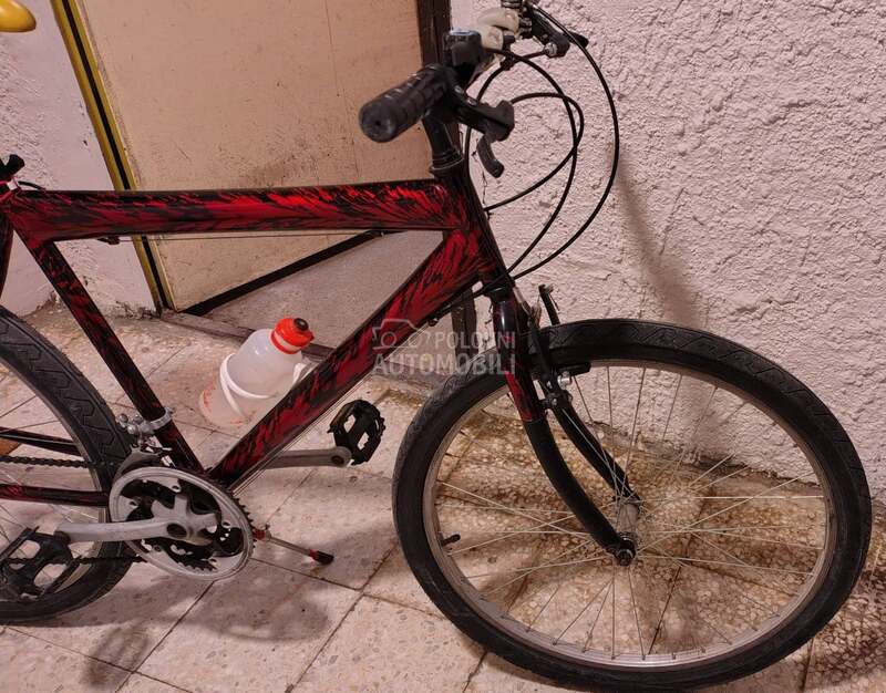 Capriolo MTB/Gradska bicikla