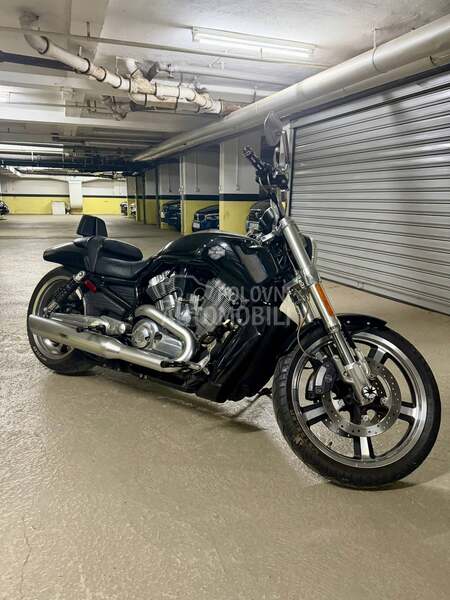 Harley Davidson v rod