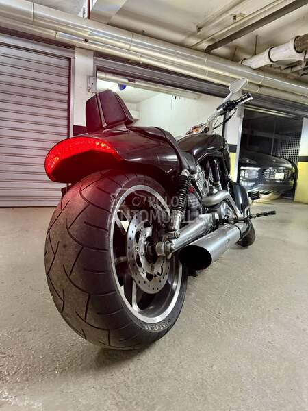 Harley Davidson v rod