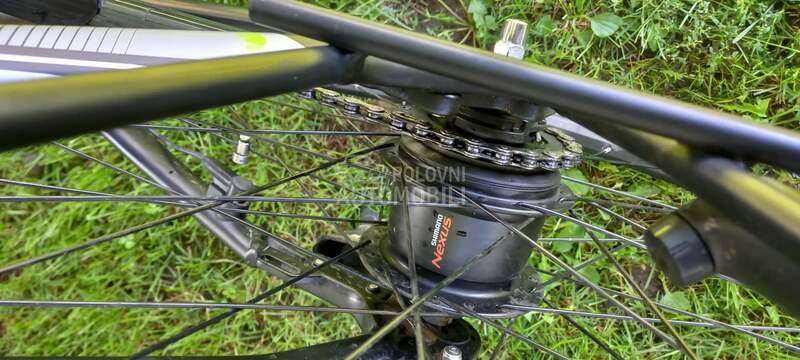 Bulls ELEKTRICNI Lacuba