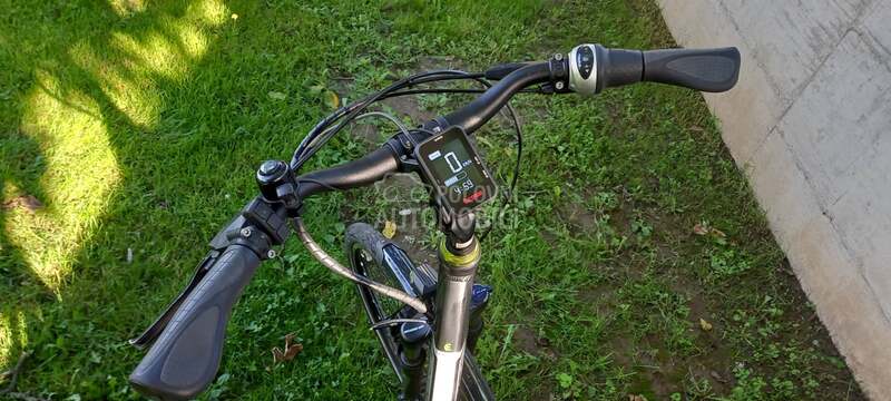 Bulls ELEKTRICNI Lacuba