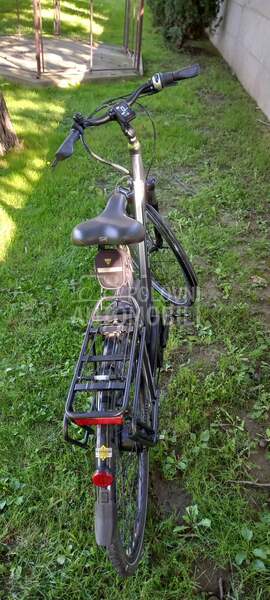 Bulls ELEKTRICNI Lacuba