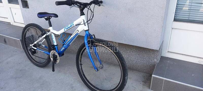 Polar mauntibike