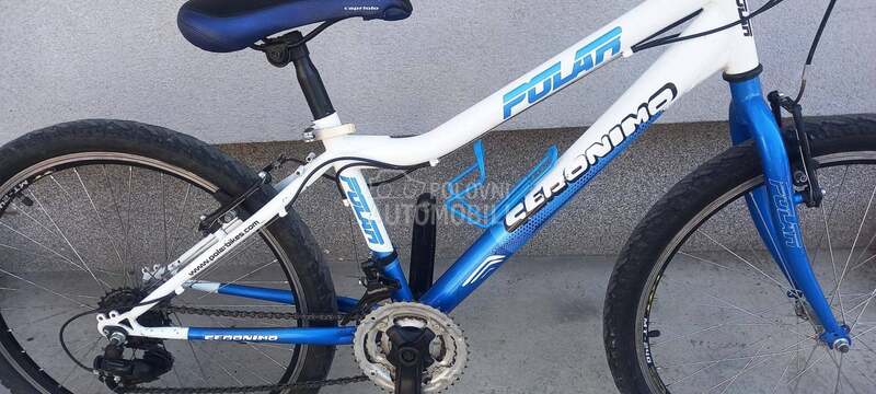 Polar mauntibike