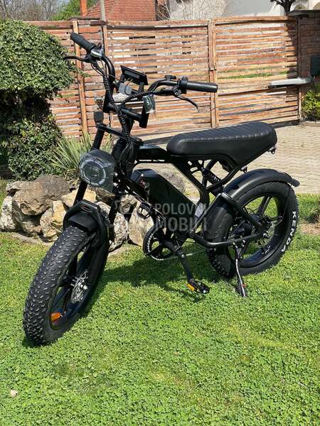 BMW E Fat Bike V20 Pro