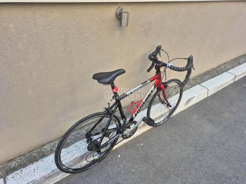 NISHIKI racing master