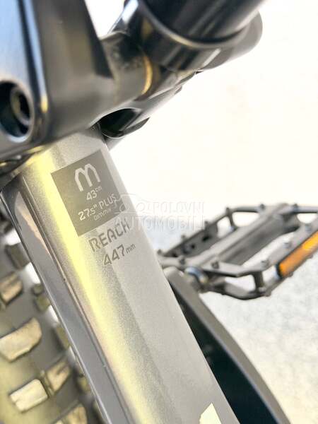 KTM Kappoho 29 Carbon