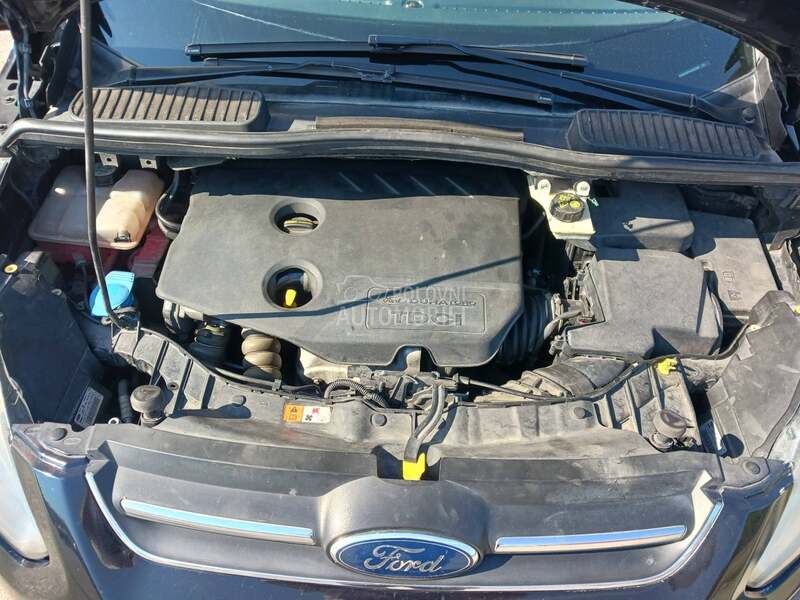 Ford C-Max zelus