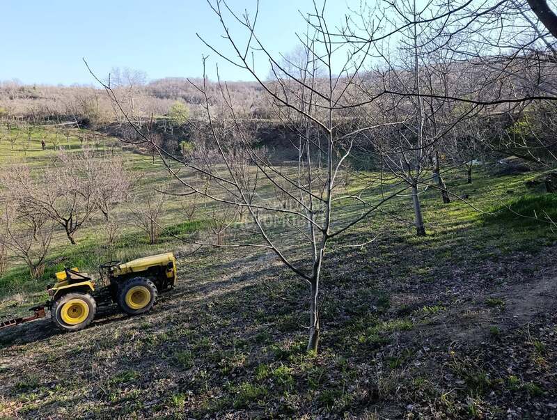 Tomo Vinković TV420