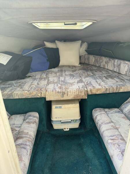 Bayliner Cutter XLE 205