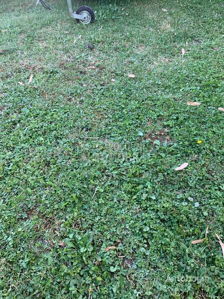 Vesta Akcija light 25 kiper