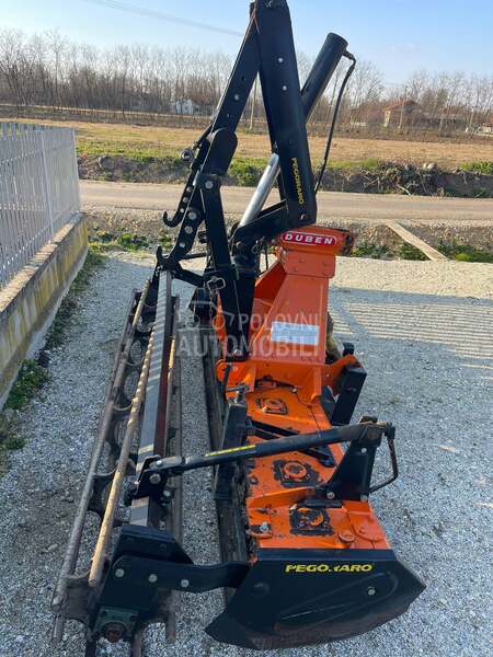 Adut Masio lely pegoraro