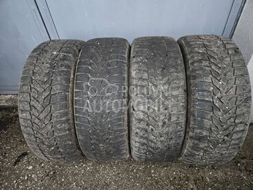 Nexen 205/55 R16 Zimska