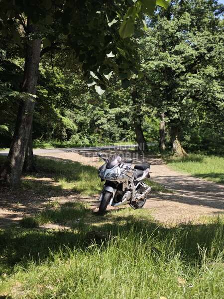 Suzuki SV 1000s