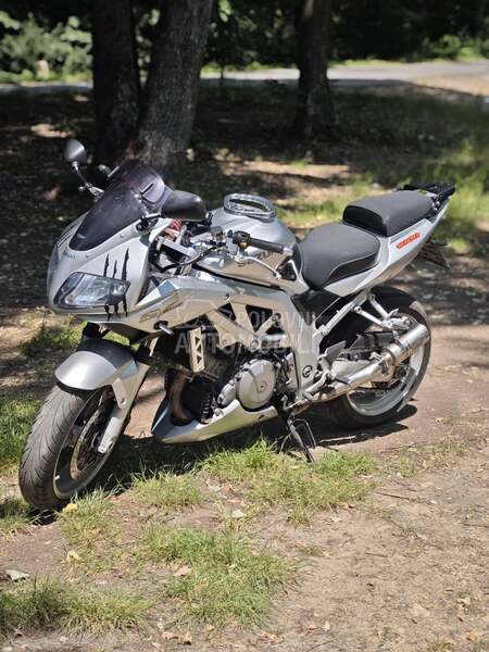 Suzuki SV 1000s