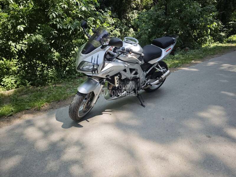 Suzuki SV 1000s