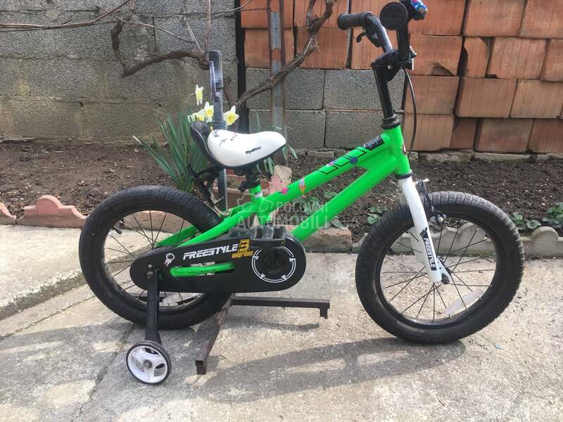 Royalrider 16 Zeleni