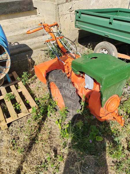 Goldoni 50 komada Ivanjica