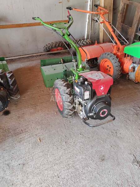 Goldoni 50 komada Ivanjica