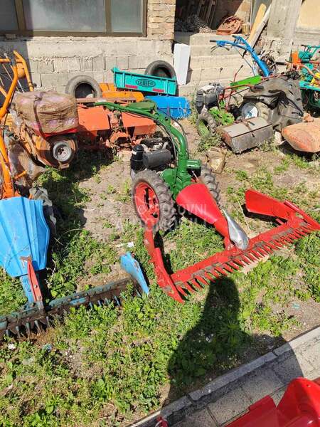 Goldoni 50 komada Ivanjica