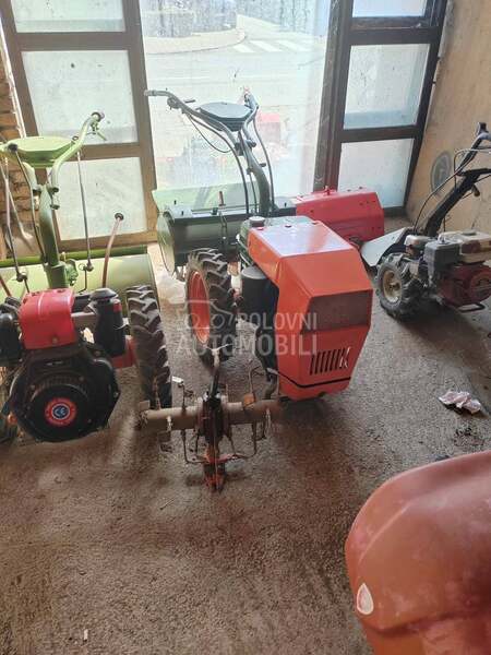 Goldoni 50 komada Ivanjica