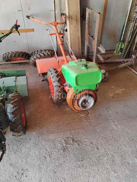 Goldoni 50 komada Ivanjica